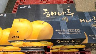 황금농원님의 배 · 수확 작성글 사진