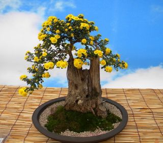 김주용님의 기타작물 · 자유게시판 작성글 사진