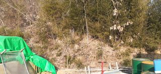 오소리와꿀벌들님의 기타작물 · 자유게시판 작성글 사진