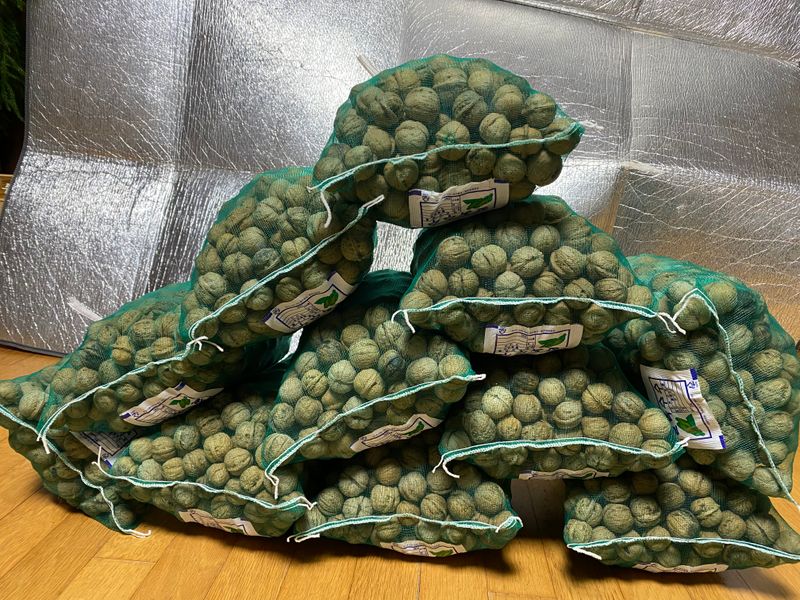 장터 상품 [피호두 1kg(판매완료)] 썸네일