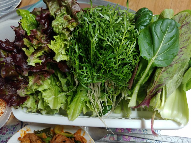 장터 상품 [마카와 모듬쌈채소] 썸네일