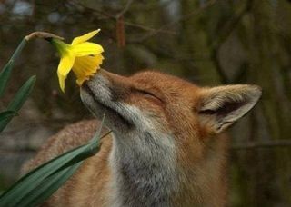 홍촌님의 기타작물 · 자유게시판 작성글 사진