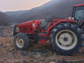 형제농원 (이상팔)님의 작성글 사진