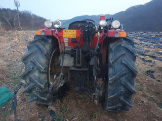 형제농원 (이상팔)님의 작성글 사진