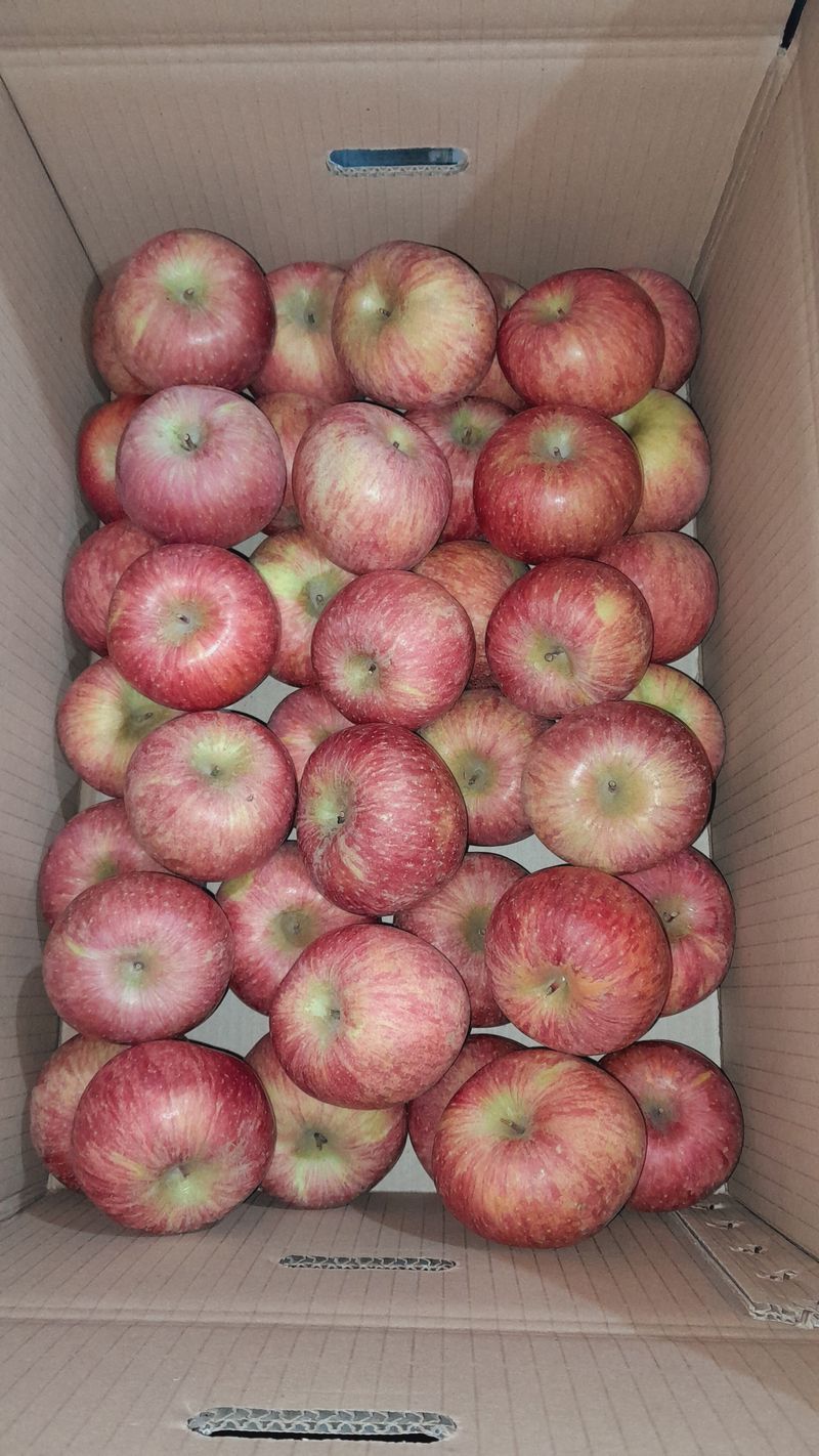 이윤동님의 장터 판매 상품 [새콤달콤 아삭 찐한맛 (부사)미얀마 "설선물용 "5k.            쥬스용 10k] 첨부 사진