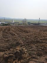 팜모닝 고추·일상 게시글 이미지