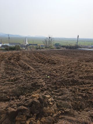 송정농장님의 고추 · 일상 작성글 사진