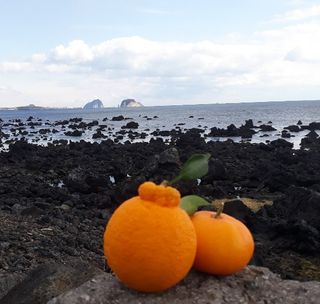 강창민님의 작성글 사진