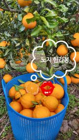 팜모닝 · 게시글 이미지