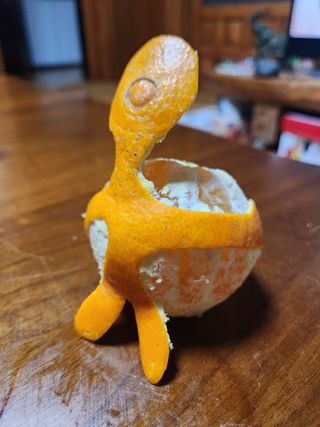 한라봉님의 작성글 사진