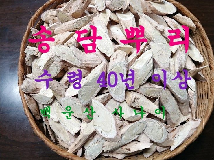 장터 상품 [당뇨에 좋은 약초 송담 (소나무담쟁이)] 썸네일