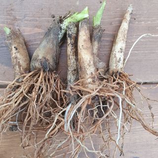 이기자농장님의 작성글 사진