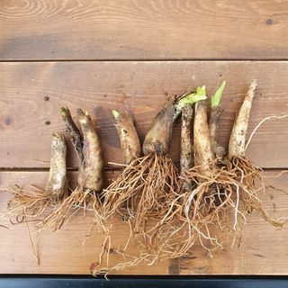 이기자농장님의 작성글 사진