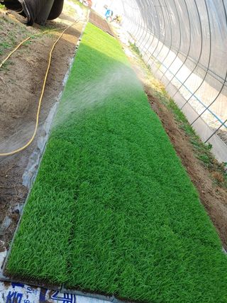 약초를사랑한짱아줌마님의 작성글 사진