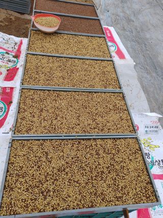 약초를사랑한짱아줌마님의 작성글 사진