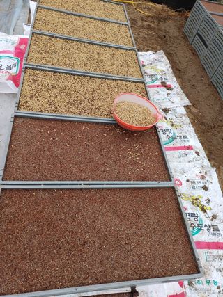 약초를사랑한짱아줌마님의 작성글 사진