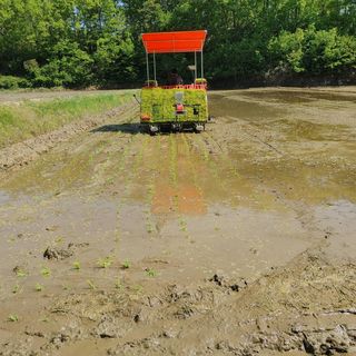 약초를사랑한짱아줌마님의 작성글 사진