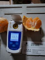 팜모닝 · 게시글 이미지