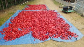 위승석님의 작성글 사진