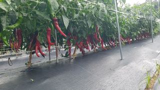 위승석님의 작성글 사진