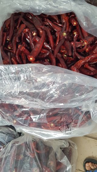 위승석님의 작성글 사진