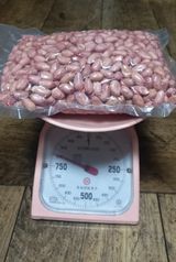 팜모닝 · 게시글 이미지