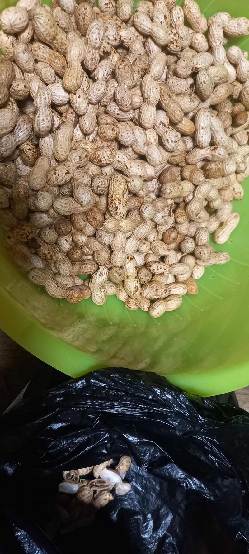 장만월님의 장터 판매 상품 [국산토종 생땅콩(800g)**판매완료**] 첨부 사진