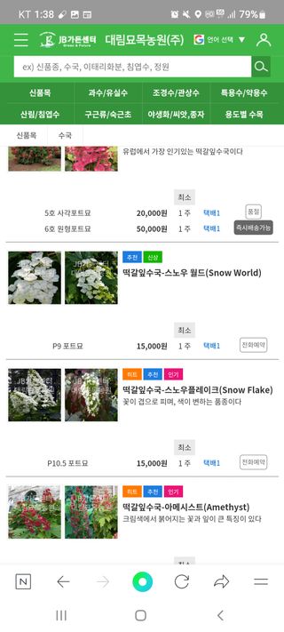 나무 천재님의 기타작물 · 자유게시판 작성글 사진