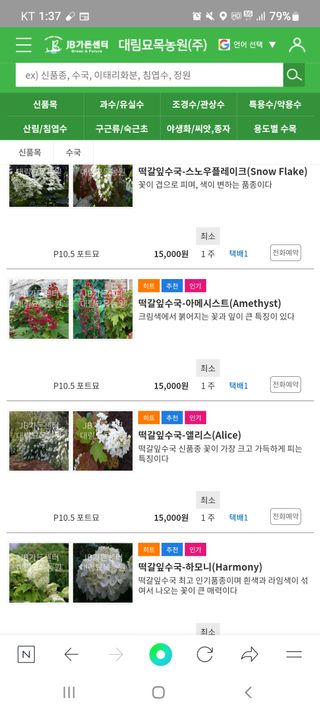 나무 천재님의 기타작물 · 자유게시판 작성글 사진