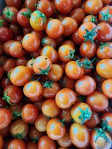 팜모닝 · 게시글 이미지