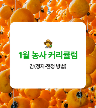 ๊ฐ ๋์ฌ๋์ฐ๋ฏธ๋์ ๊ฐ ยท ๋์ฌ๊ธธ์ก์ด ์์ฑ๊ธ ์ฌ์ง