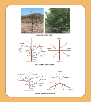๊ฐ ๋์ฌ๋์ฐ๋ฏธ๋์ ๊ฐ ยท ๋์ฌ๊ธธ์ก์ด ์์ฑ๊ธ ์ฌ์ง
