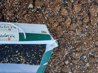 이창신님의 기타작물 · 자유게시판 작성글 사진