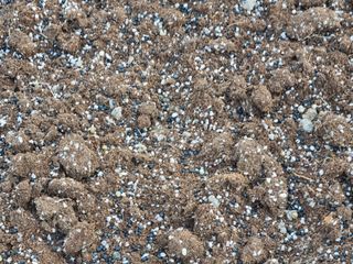 이창신님의 기타작물 · 자유게시판 작성글 사진