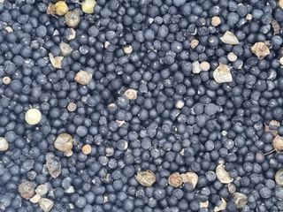 이창신님의 기타작물 · 자유게시판 작성글 사진