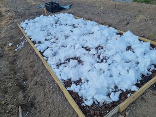 이창신님의 기타작물 · 자유게시판 작성글 사진