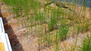 이창신님의 기타작물 · 자유게시판 작성글 사진