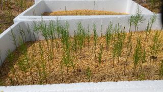 이창신님의 기타작물 · 자유게시판 작성글 사진