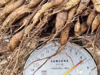 이창신님의 기타작물 · 자유게시판 작성글 사진