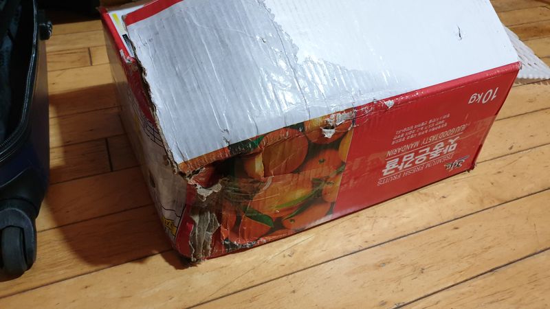 엄익호님의 장터 판매 상품 [제주에서 귤 파시는 분들 참고하세요] 첨부 사진