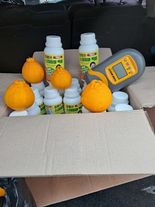 임호성님의 귤 · 품질 향상 작성글 사진