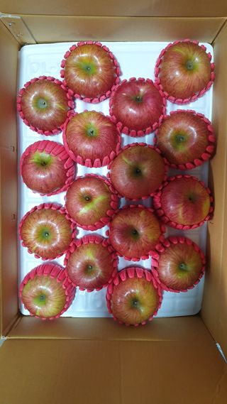 호랑이와인성이님의 사과 · 저장•가공 작성글 사진