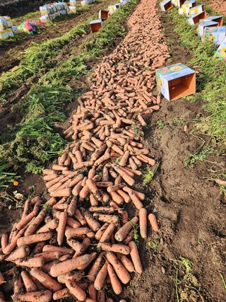 김태환님의 작성글 사진