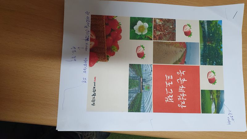 유창남님의 장터 판매 상품 [산지직송설향딸기1키로500그람2팩  농촌체험장운영  네이버  미주딸기농장 검색후 주문  농촌체험장  미주딸기농장검색] 첨부 사진