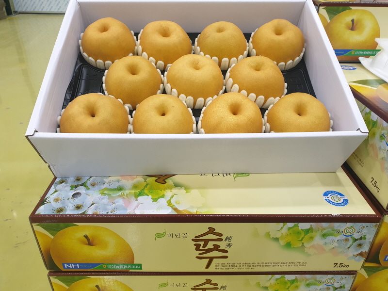 장터 상품 [나주배 7.5kg (11-12과)] 썸네일