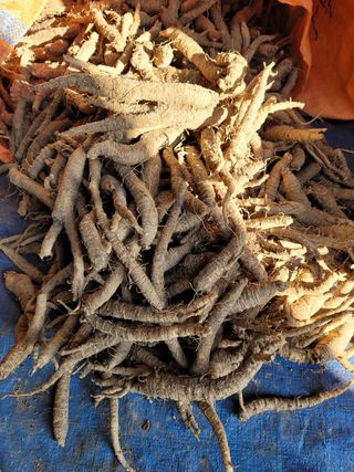 이름유순옥님의 기타작물 · 자유게시판 작성글 사진