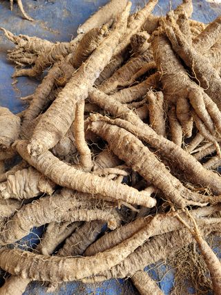 이름유순옥님의 작성글 사진