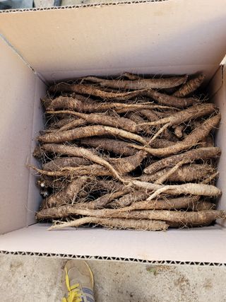 이름유순옥님의 작성글 사진