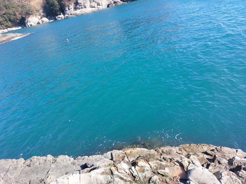 농촌의지킴님의 장터 판매 상품 [호박 고구마 . 꿀 고구마  5kg] 첨부 사진