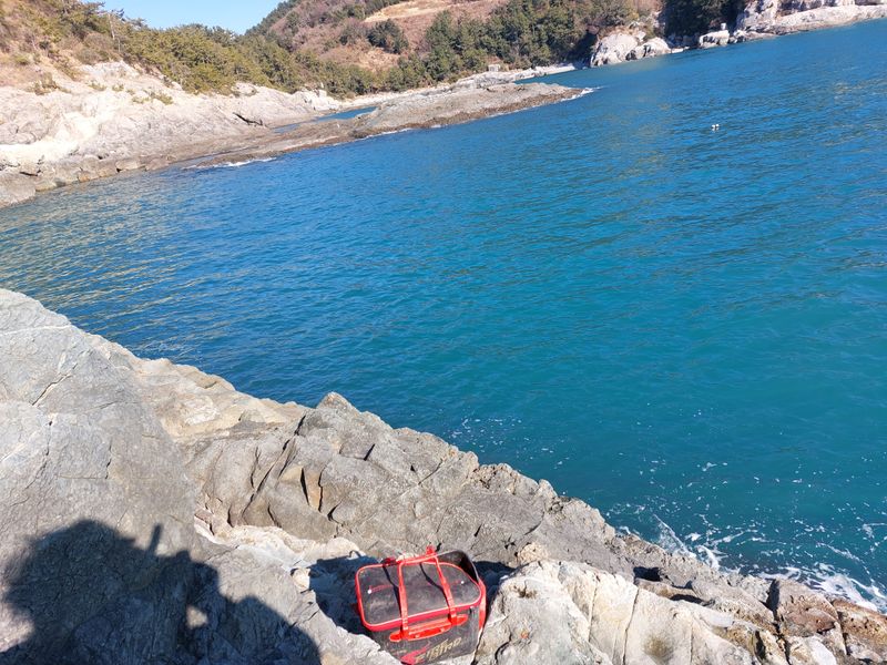 장터 상품 [호박 고구마 . 꿀 고구마  5kg] 썸네일